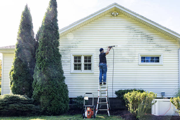 Best Driveway Pressure Washing  in Oconomowoc, WI